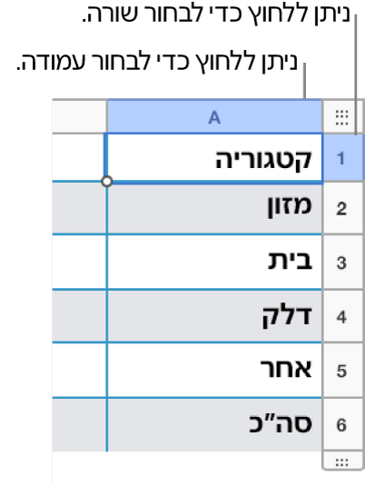 שורה נבחרת עם הסברים המצביעים על בחירת השורה והעמודה.