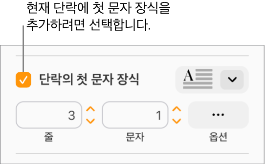 단락의 첫 문자 장식 체크박스가 선택되어 있고 팝업 메뉴가 그 오른쪽에 나타나며, 줄 높이, 문자 수 및 기타 옵션을 설정하는 제어기가 그 아래에 표시됩니다.