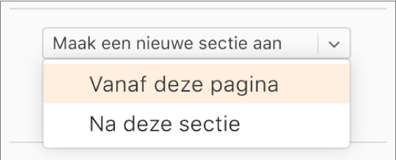 Het pop‑upmenu 'Maak een nieuwe sectie aan' is open en 'Vanaf deze pagina' is geselecteerd.