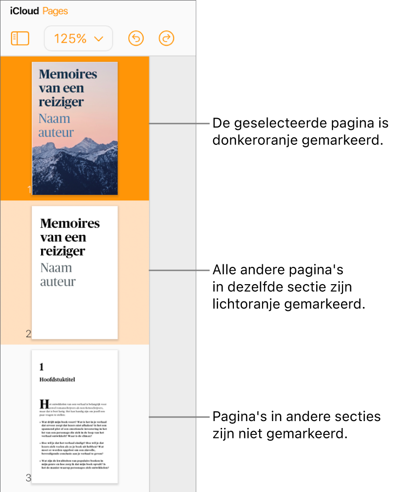 Paginaminiaturen in de navigatiekolom aan de linkerkant; de geselecteerde pagina is in donkeroranje gemarkeerd, terwijl één andere pagina in dezelfde sectie lichtoranje is gemarkeerd. Een pagina in een andere sectie krijgt geen kleurmarkering.