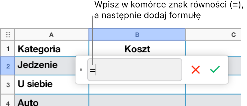 Edytor formuł ze znakiem = i bez wprowadzonej formuły.