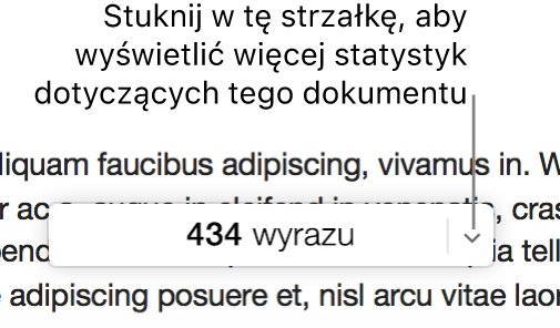 Menu podręczne z informacją o liczbie wyrazów w dokumencie.