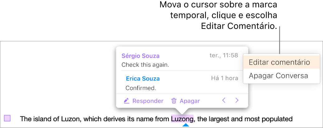 Um comentário será aberto, o ponteiro estará sobre o carimbo de data/hora na parte superior e o menu pop-up mostrará duas opções: Editar comentário e Apagar conversa.