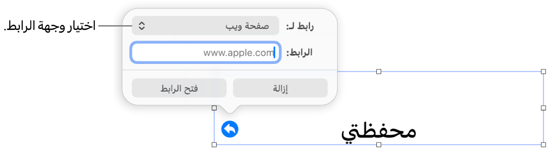 عناصر التحكم في محرر الرابط حيث يوجد الخيار صفحة الويب محددًا وتظهر أزرار إزالة وفتح الرابط في الأسفل.