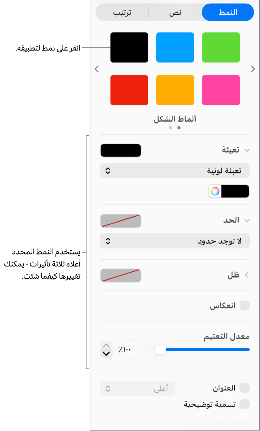 أنماط وخيارات الشكل في قسم التنسيق على الشريط الجانبي.