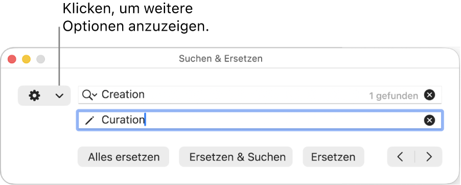 Das Fenster „Suchen & Ersetzen“ mit einer Beschreibung zum Einblendmenü, das weitere Optionen anzeigt.