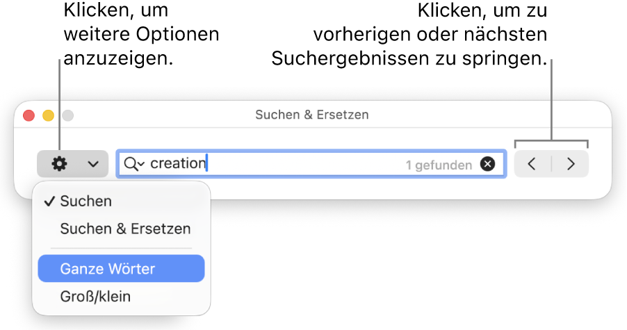 Das Fenster „Suchen & Ersetzen“ mit dem Einblendmenü, in dem Optionen zum Suchen, Suchen und Ersetzen, Suchen ganzer Wörter und Suchen unter Berücksichtigung der Groß-/Kleinschreibung zu sehen sind. Mit den Pfeilen auf der rechten Seite kann zu den vorherigen bzw. nächsten Suchergebnissen gesprungen werden.