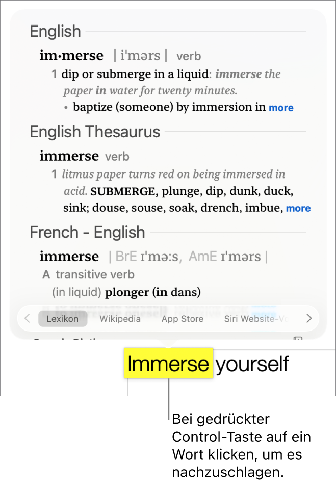 Text, in dem ein Wort hervorgehoben ist. Ein Fenster zeigt die Definition des Wortes und einen Thesaurus-Eintrag Zwei Tasten unten im Fenster stellen Links zum Lexikon und zu Wikipedia bereit