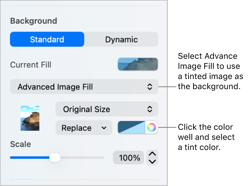 The Background controls with a tinted Advanced Image Fill set as the slide background.