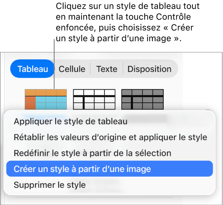Le menu contextuel Style de tableau.