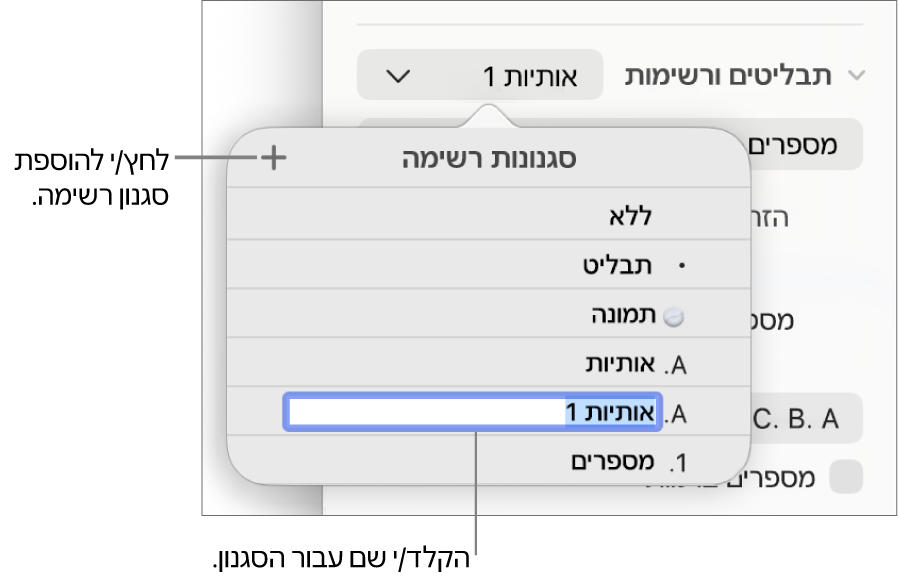 התפריט הקופצני ״סגנונות רשימה״ עם כפתור ״הוסף״ בפינה הימנית העליונה ושם של סגנון מציין מיקום כאשר המלל שלו נבחר.