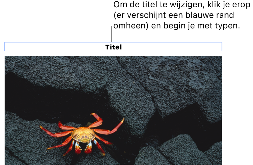 Boven een foto staat de plaatsaanduiding 'Titel'. Een blauwe rand om het titelveld geeft aan dat het geselecteerd is.