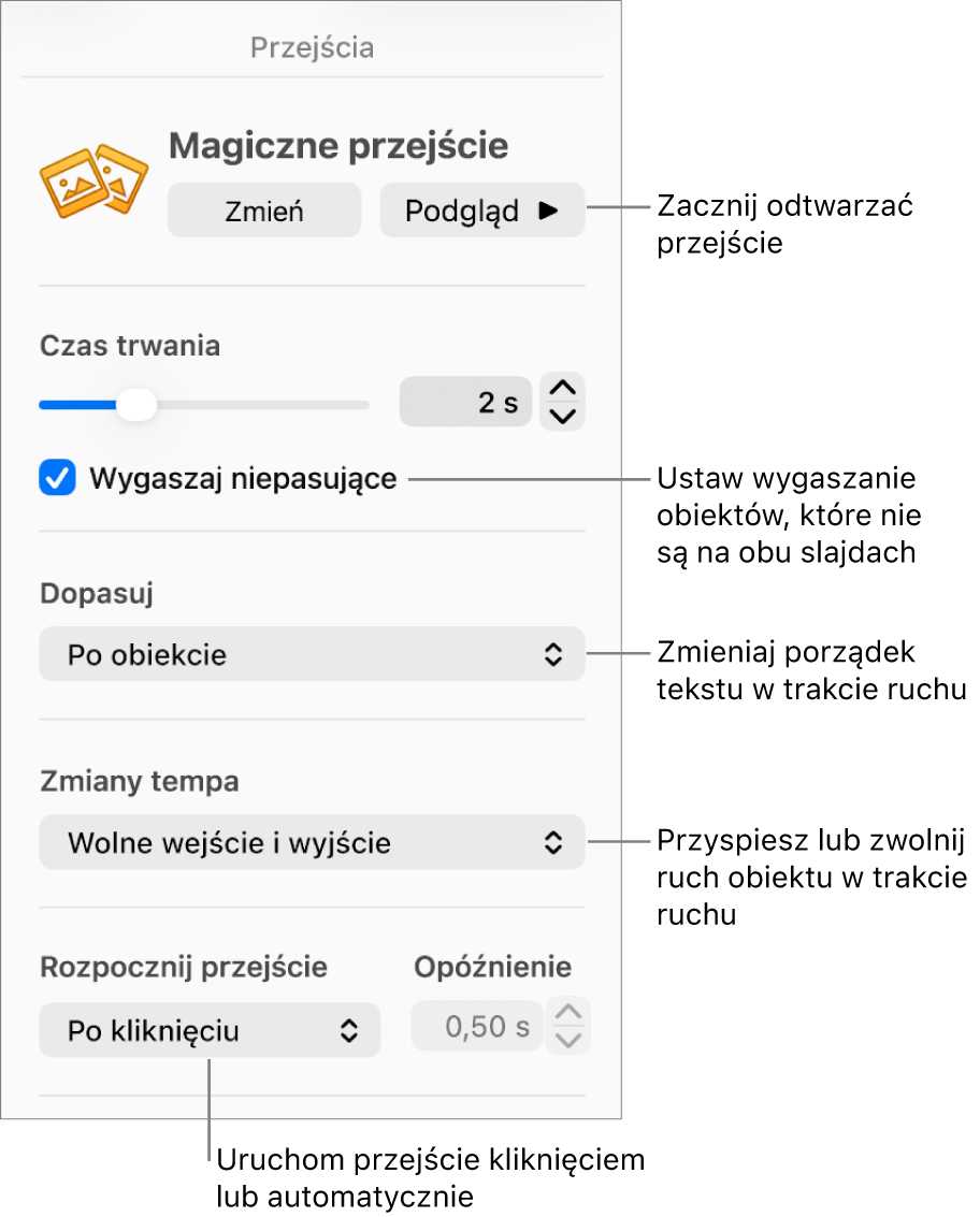 Narzędzia Magicznego przejścia w sekcji Przejścia na pasku bocznym Animacja.