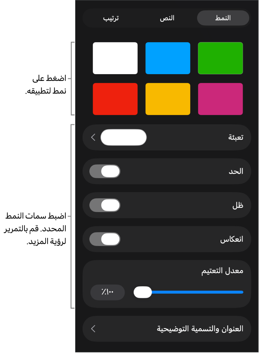 علامة تبويب النمط من قائمة التنسيق مع أنماط الكائنات في الجزء العلوي وعناصر التحكم أدناها لتغيير الحدود والظل والانعكاس والتعتيم.