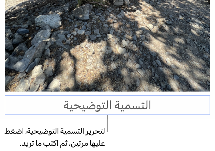 تظهر التسمية التوضيحية للعنصر النائب، "التسمية التوضيحية"، أسفل صورة؛ يوضح تخطيط أزرق حول حقل التسمية التوضيحية أنه محدد.