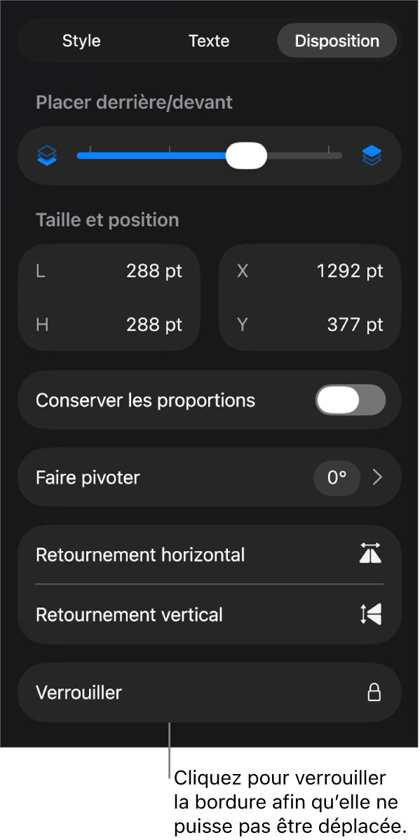 Les commandes Disposition dans le menu Format avec une légende reliée au bouton Verrouiller.