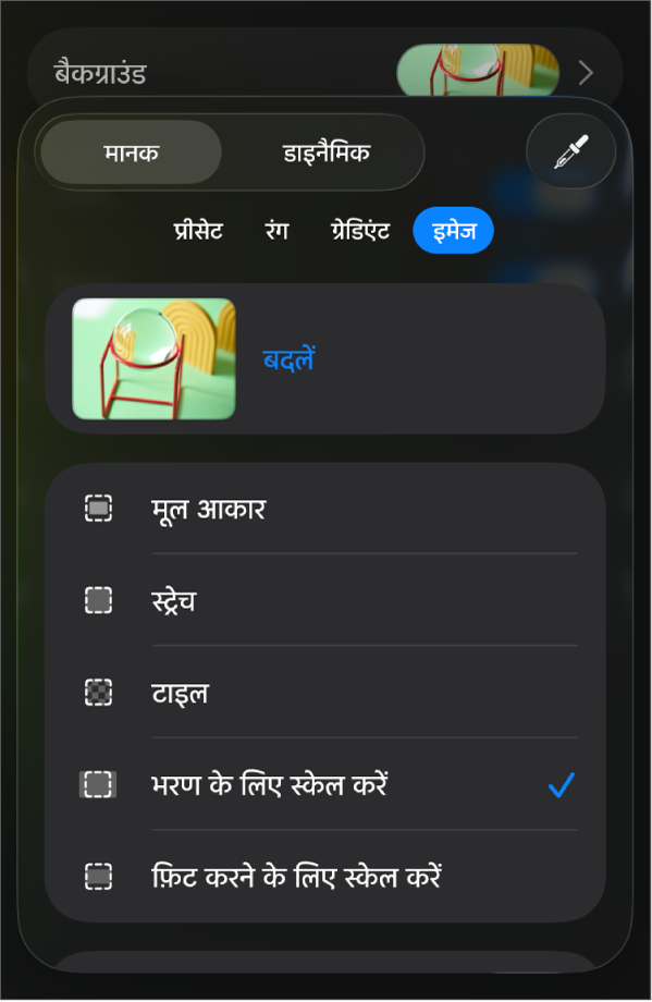 बैकग्राउंड नियंत्रण, जिनके सबसे निचले भाग में इमेज को स्लाइड बैकग्राउंड और रंग ओवरले नियंत्रण के रूप में सेट किया गया है।