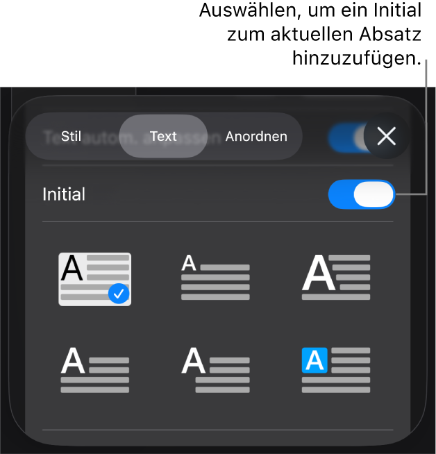 Die Steuerelemente „Initial“ im Menü „Text“