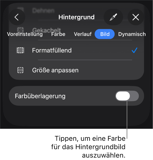 Die Steuerelemente „Hintergrund“ mit einem Bild, das als Folienhintergrund festgelegt ist, und dem Steuerelement „Farbüberlagerung“ unten.