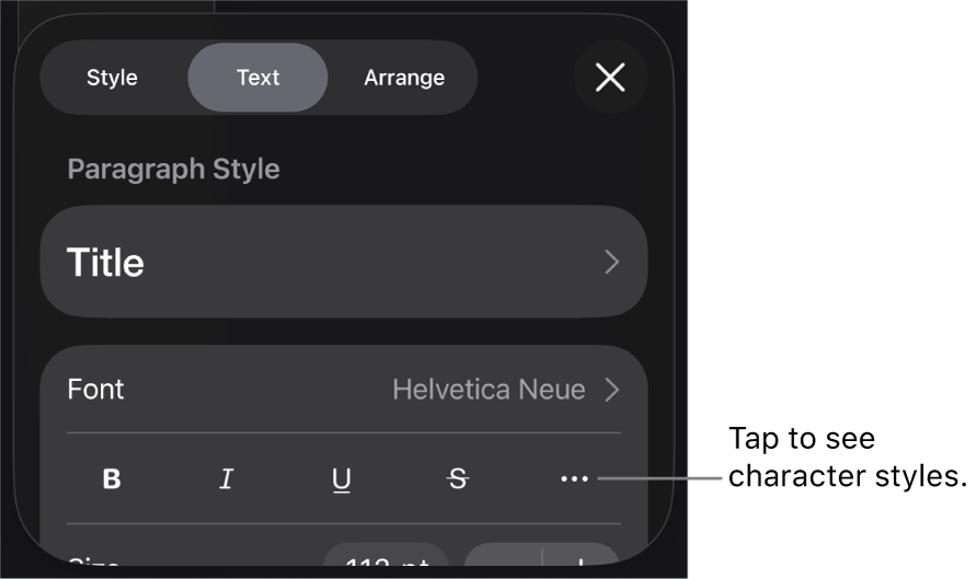 The Format controls with paragraph styles at the top, then Font controls. Below Font are the Bold, Italic, Underline, Strikethrough and More Text Options buttons.