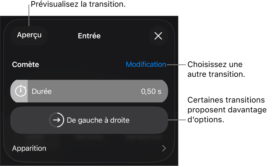 Commandes de la sous-fenêtre Options permettant de modifier une transition.