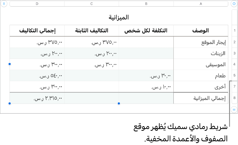 شريط رمادي سميك يُظهر موقع الصفوف والأعمدة المخفية