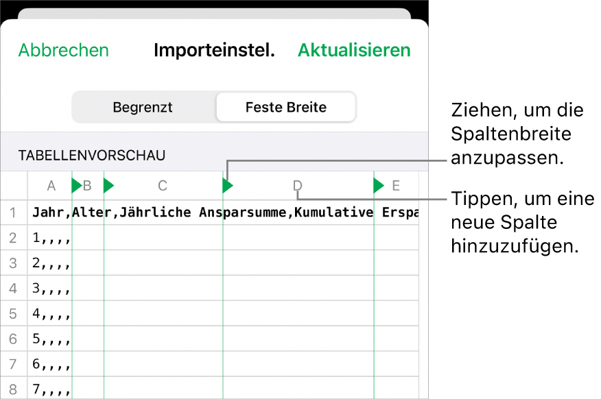 Die Importeinstellungen für eine Textdatei mit fester Breite.