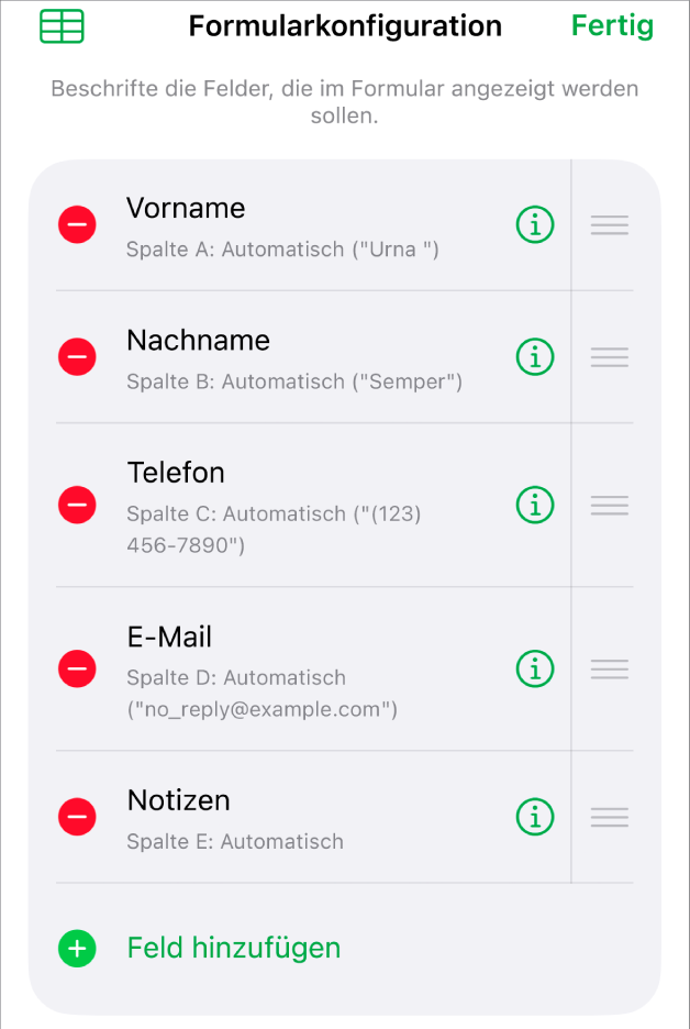 Die Steuerelemente für Formulareinstellungen mit den Optionen zum Hinzufügen, Bearbeiten, Anordnen und Löschen von Feldern sowie zum Ändern des Feldformats (wie zum Beispiel von „Text“ zu „Prozent“).