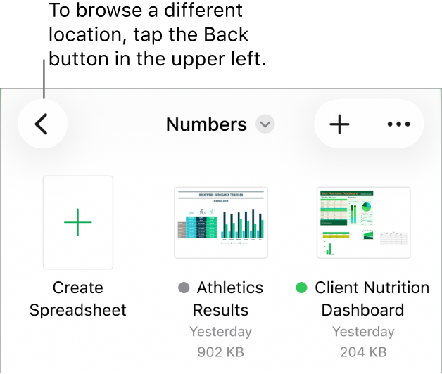 The browse view of the document manager with a location link in the top-left corner and below it a Search field. In the top-right corner are the Add a Spreadsheet button and the More button. At the bottom of the screen are a Recent button and Browse button.