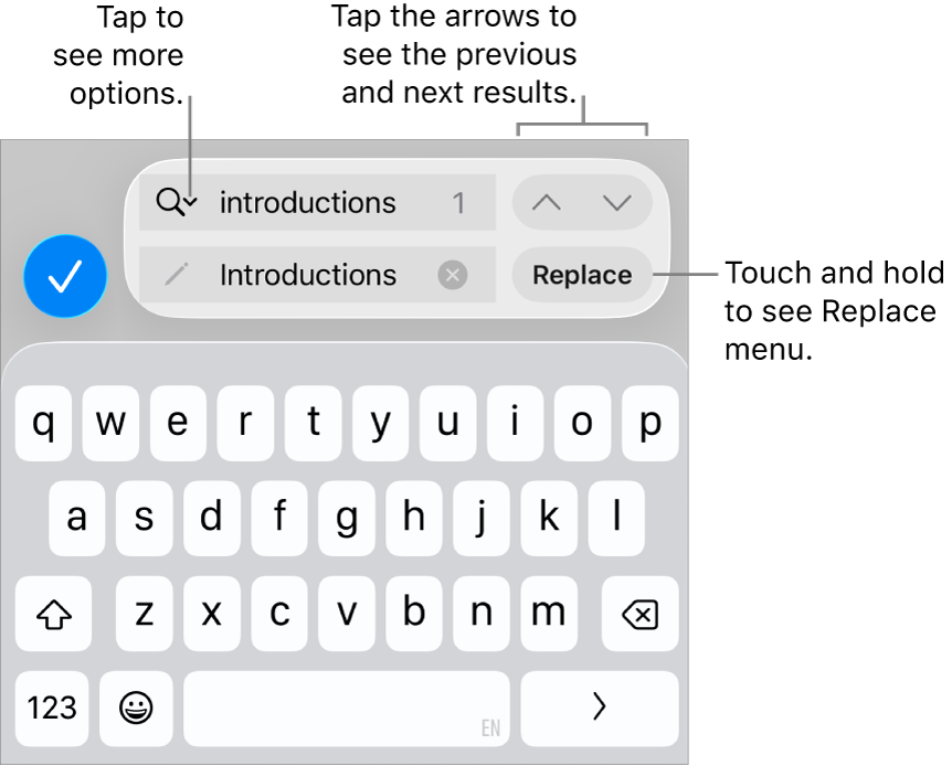 The Find & Replace controls above the keyboard with callouts to the Search Options, Replace, Go Up, and Go Down buttons.