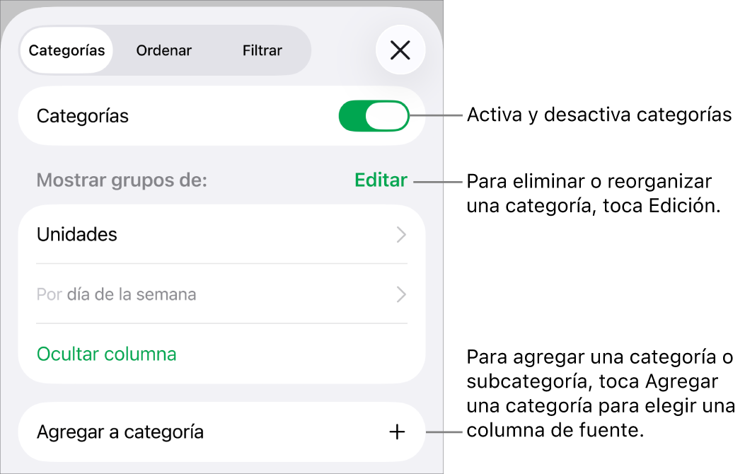 El menú Categorías del iPhone con opciones para desactivar las categorías, eliminar categorías, reagrupar datos, ocultar una columna origen y agregar categorías.