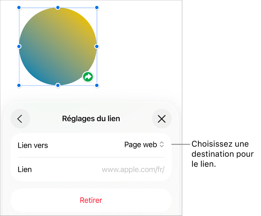 Les commandes « Réglages du lien » avec une page web sélectionnée et le bouton Supprimer en bas.