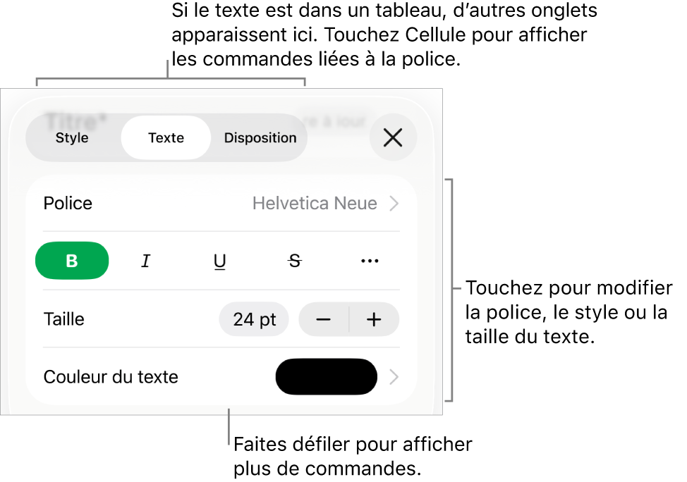 Commandes de texte du menu Format permettant de définir les styles, la police, la taille et la couleur des paragraphes et des caractères.