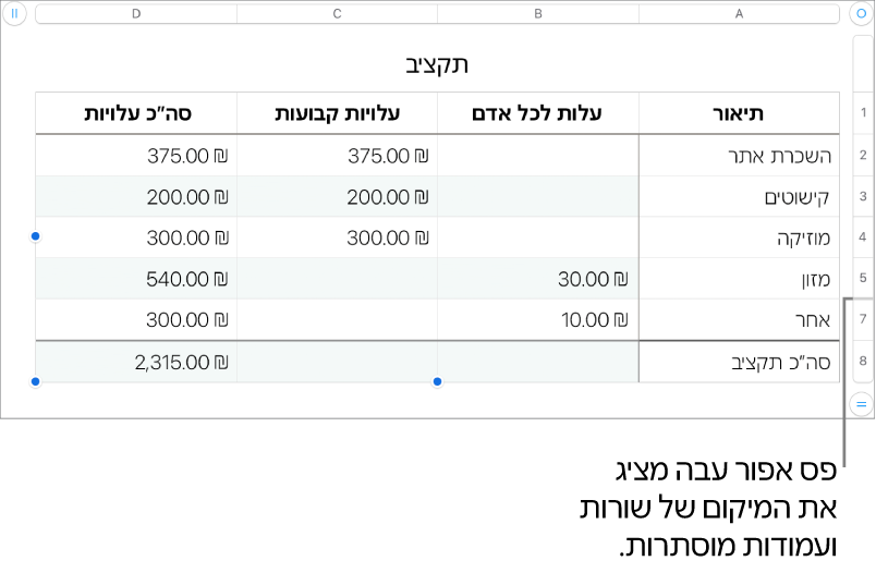 פס אפור עבה שמציג את מיקומן של שורות ועמודות נסתרות