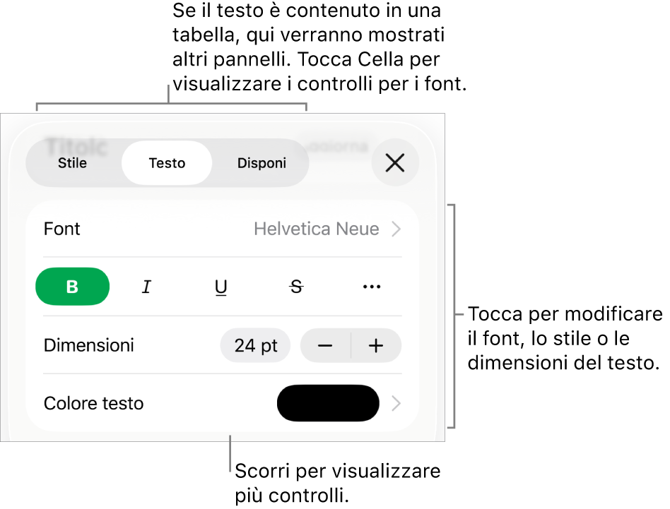 Controlli di testo nel menu Formattazione per impostare stili di carattere e paragrafo, font, dimensione e colore.