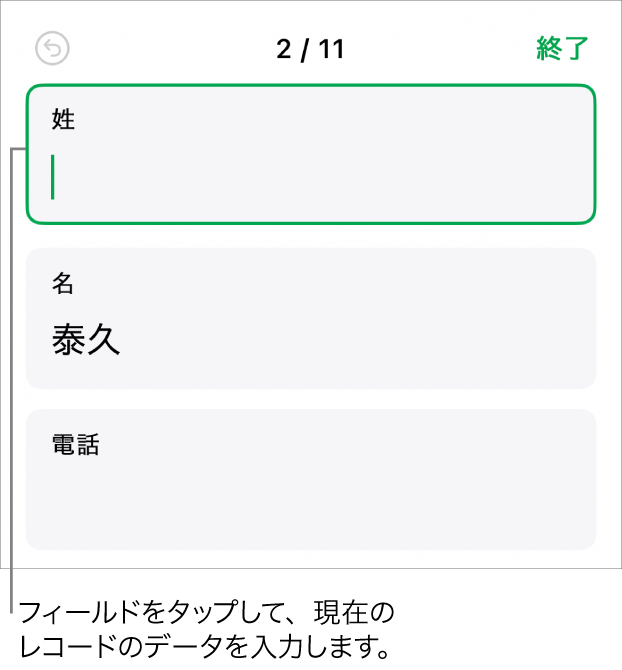 フォームのレコード。挿入ポイントがあるアクティブなフィールドが表示されています。