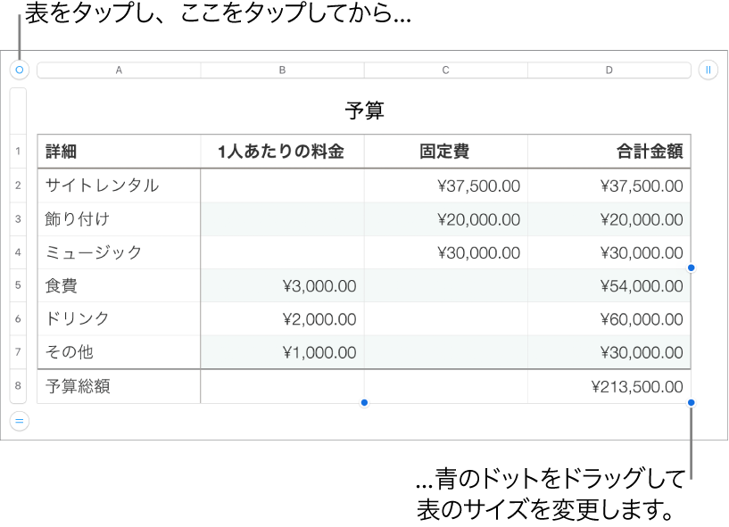 選択された表。サイズを変更するための青いドットが表示された状態。