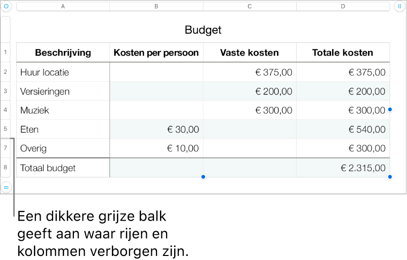 Een dikkere grijze balk die aangeeft waar rijen en kolommen verborgen zijn