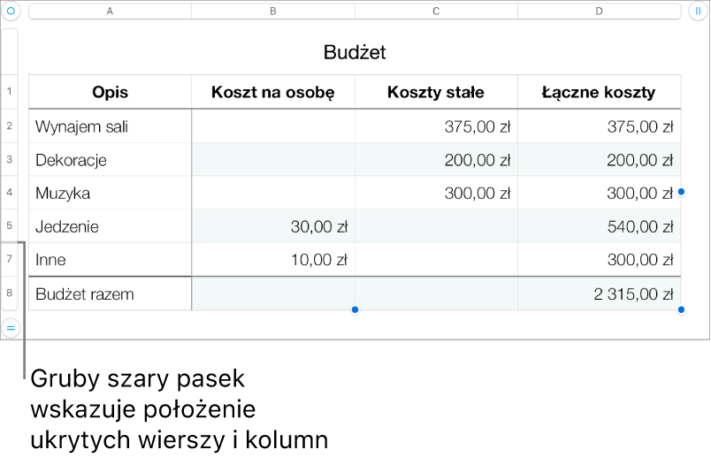 Gruby szary pasek wskazujący ukryte wiersze i kolumny