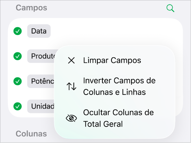 O menu Mais Opções de Campo, mostrando os controles para ocultar totais gerais, inverter campos de coluna e linha, e limpar campos.