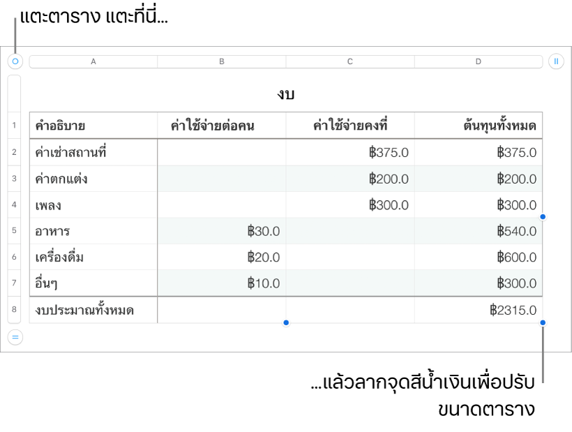 ตารางที่เลือกอยู่พร้อมจุดสีน้ำเงินสำหรับปรับขนาด