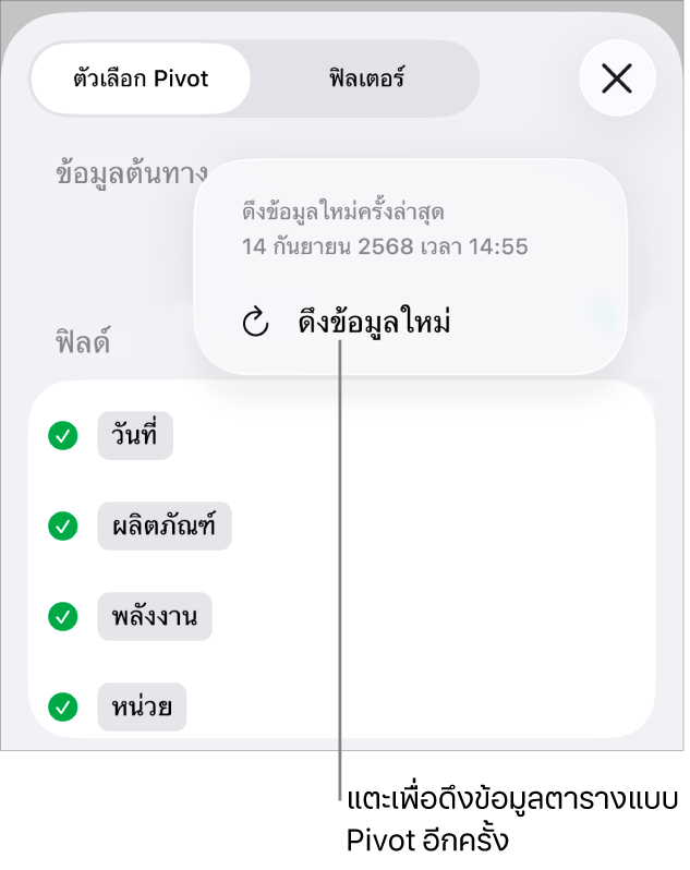 เมนูตัวเลือก Pivot ที่แสดงตัวเลือกสำหรับดึงข้อมูลตารางแบบ Pivot ใหม่