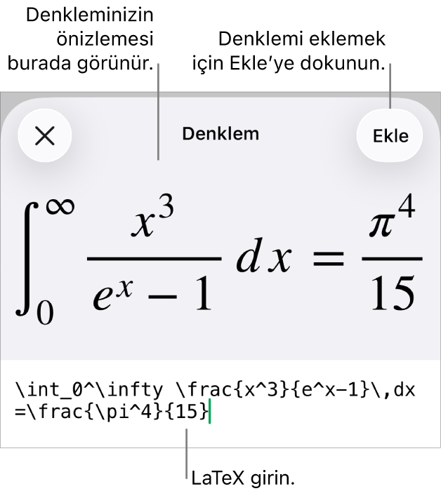 LaTeX komutları kullanılarak yazılmış bir denklemi ve onun üstünde formülün önizlemesini gösteren Denklem sorgu kutusu.