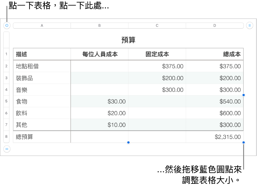 選取的表格，帶有調整大小的藍色圓點。