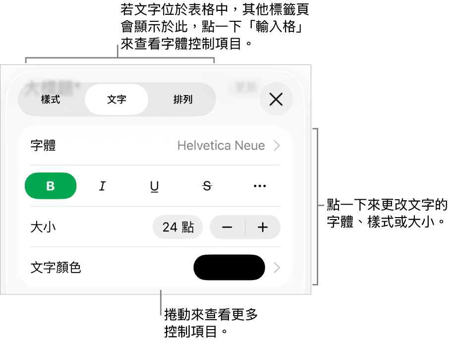 「格式」選單中設定段落及字元樣式、字體、大小和顏色的文字控制項目。