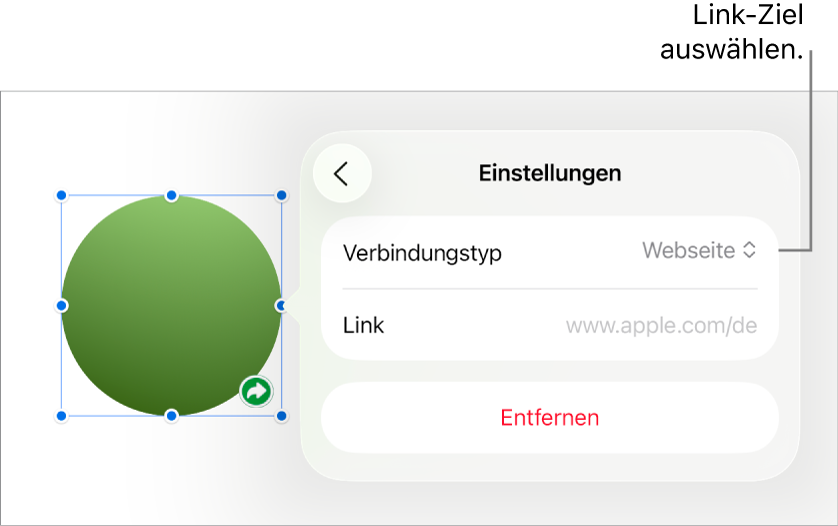 Die Steuerelemente der Linkeinstellungen mit ausgewählter Webseite und der Taste „Entfernen“ unten.