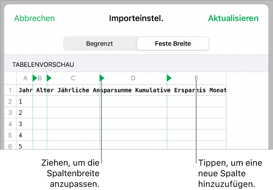 Die Importeinstellungen für eine Textdatei mit fester Breite.