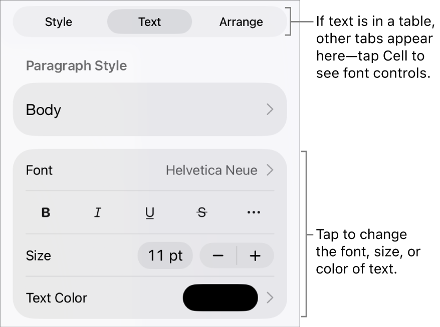 Text controls in the Format menu for setting paragraph and character styles, font, size, and color.