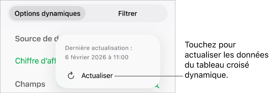 Menu Options dynamiques affichant l’option d’actualisation du tableau croisé dynamique.