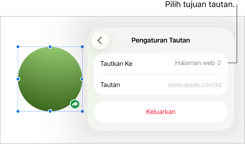 Kontrol Pengaturan Tautan dengan Halaman Web dipilih, dan tombol Hapus di bagian bawah.